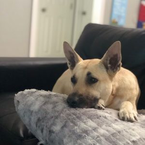 Meet your Posher, Katherine